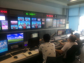 傳媒系學(xué)生楊雪斬獲《挑戰(zhàn)亞布力》外景主持總決賽六強，八月參與節(jié)目錄制