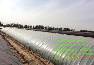 壽光市萬禾農業 蔬菜大棚建造全攻略與價格解析
